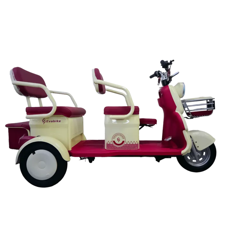 Triciclo Electrico FAMILY Q PLUS